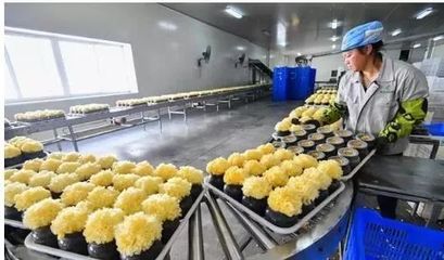 訪企業(yè)、解難題、促“六穩(wěn)”——尤溪 深入項(xiàng)目一線為企精準(zhǔn)把脈，力促商貿(mào)繁榮發(fā)展